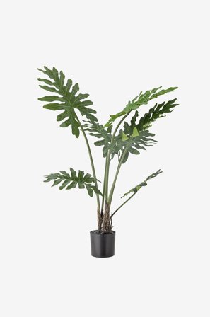 Bloomingville - Philodendron Plante - Grønn - Kunstige planter & blomster - Fra Homeroom