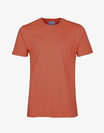 Classic Organic Tee - Dark Amber - 2XL