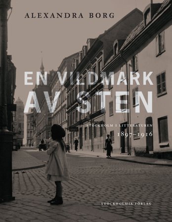 En vildmark av sten