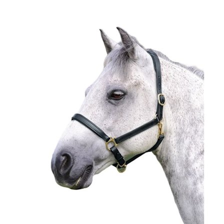 Blenheim Ragley Läder Hästgrimma Full Black