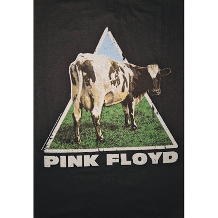 Pink Floyd - Atom Heart Women T-Shirt