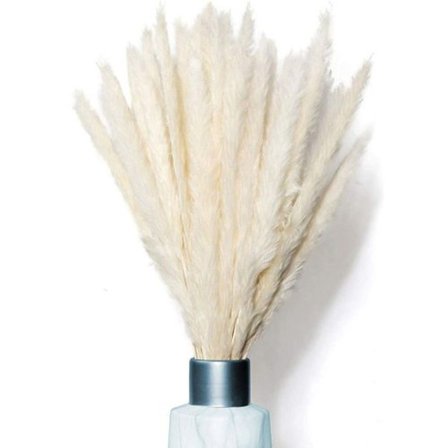Naturlig torkad pampasgräsbukett - heminredning