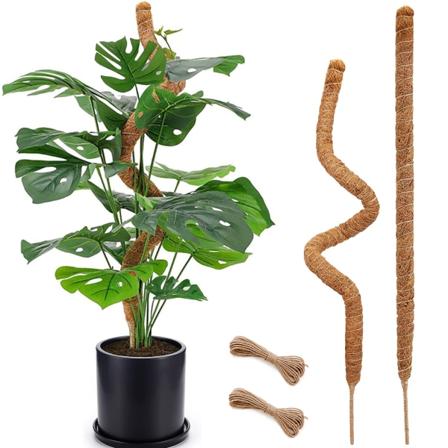 Mosstang, 28 tommer bøjelig kokosnøddestøtte til Monstera & indendørs klatreplanter, plantestokke til Pothos og Philodendron i potter 2 × 4mmx28 in