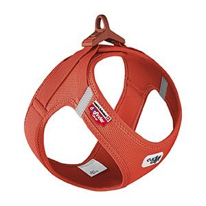 Curli Vest sele Clasp Air-Mesh, Orange