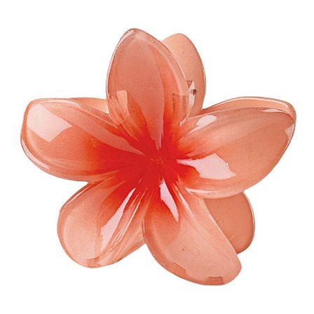 Stærk Hold Hårklemme Blomster Forårstema Assorteret Farve Styling Essential