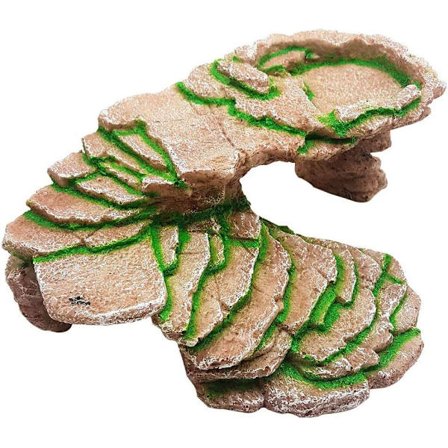 Skjul skildpadder, skjulte krybdyr, firben gemmer huler, befugtet habitat dekoration