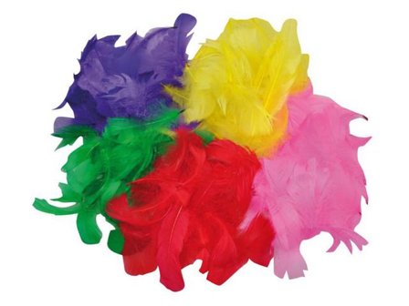 PLAYBOX Fjädrar 30-100mm blandade färger 200/fp - Lyreco - Skola och förskola - Hobbymaterial - Fjädrar och påskfjädrar