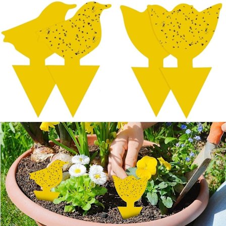WABJTAM 48 stk. gule fluer for å fange fluer, gule klistremerker for plantevern mot bladlus, bladfluer og skadedyr, ideelt for planter på balkongen 