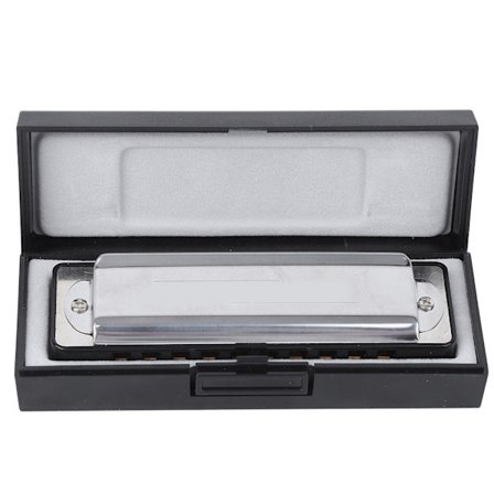 10-håls munspel Blues D-tonart munspel blåsinstrument nybörjarövning AM-20DSvart