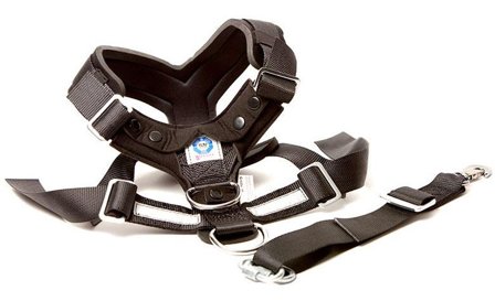 Bilsele Allsafe Harness - Hund