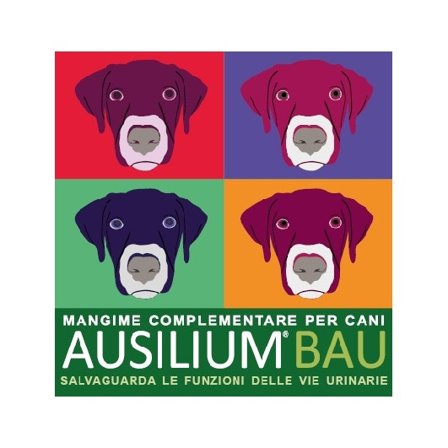Ausilium Bau Mangime Complementare Per Cistite Cani 300g Con