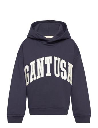 Over D Gant Usa Sweat Hoodie GANT Navy