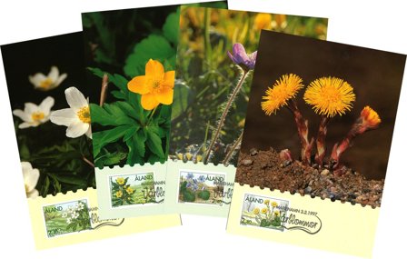 Åland - Blomster - maximuskort