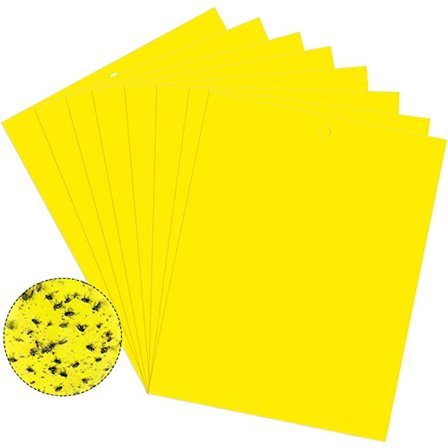 Klibbig fälla för skadeinsekter Flugfångare 20-pack