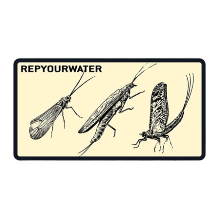 RepYourWater Sticker - The Hatch