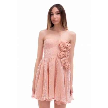 Elisabetta Franchi Kjole Pink, Dame
