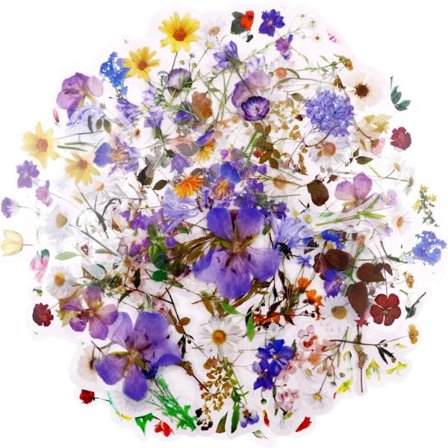 Klistermärken Blommiga Klistermärken Växtklistermärken