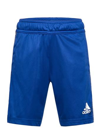 Aeroready Heather Shorts Shorts Sport Shorts Blå Adidas Performance