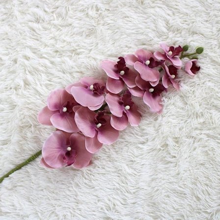 Butterfly Orchid tekokukka TUMMAN PINK