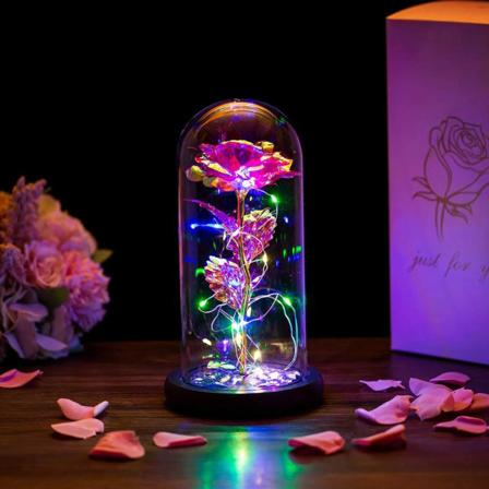 Led Fortryllet Galaxy Rose Evig 24k Gullfolie Blomst Med Fe