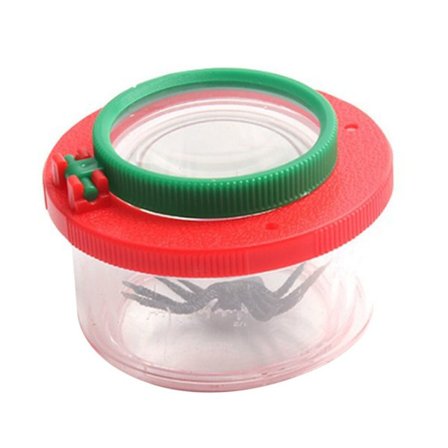 Bug Viewer Insect Box Magnifier 02 02