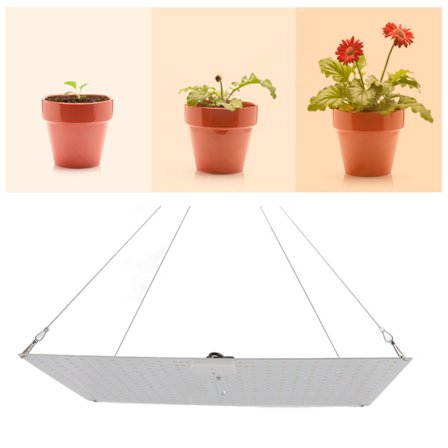 LED-vækstlamper Fuld Spektrum 360 LED Smart Indendørs Vækstlys Quantum Board med Krog til Indendørsplanter EU-stik 100‐265V