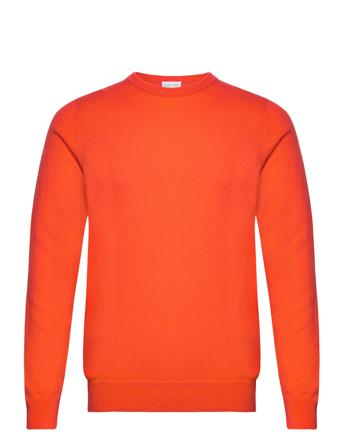 Man O-Neck Plain Orange Davida Cashmere