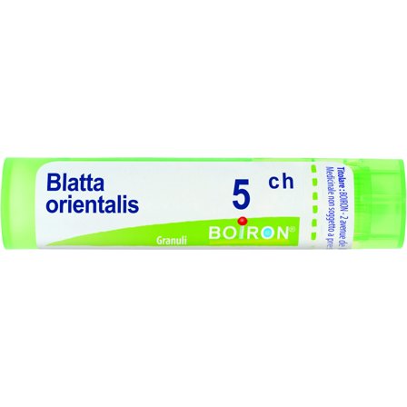 Boiron Blatta Orientalis 05Ch Tubo Granuli 4g