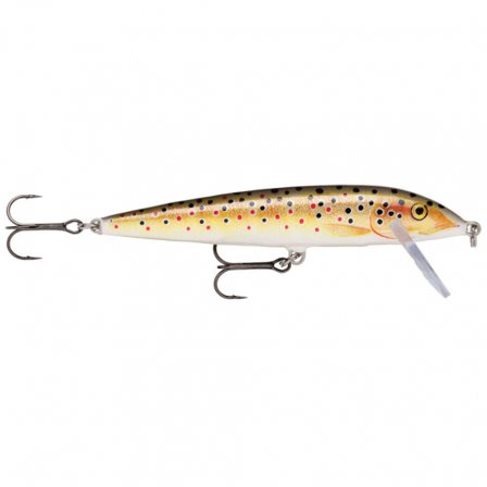 Rapala Sinking CD 11cm TR