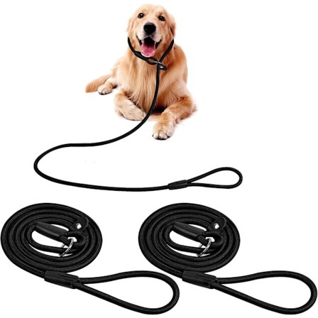 2-pakning Slip Hundebånd, Nylon Hundebånd Sterkt Tau Hundebånd Slip Hundebånd, 1 cm Diam Hundetreningsbånd for Små Mellomstore Store Hunder