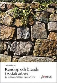 Kunskap och lärande i socialt arbete : Om socialarbetare och viljan att veta