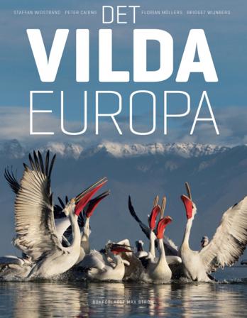 Det vilda Europa - Bok av Staffan Widstrand, Bridget Wijnberg, m.fl. - Inbunden
