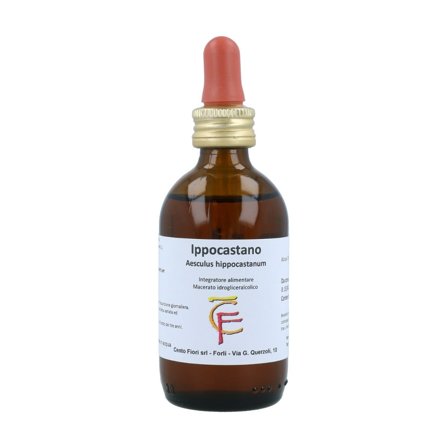 Ippocastano Gemme 100ml