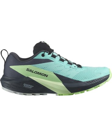 Salomon Sense Ride 5 GTX W Blue Radiance/Green Ash