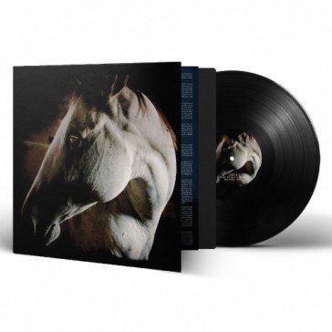 How to kill a horse BROTHER DEGE