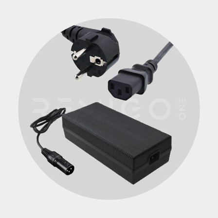 Rychlonabíječka pro lodní elektromotor Remigo Fast AC Charger RemigoOne, 378 W (9 A)