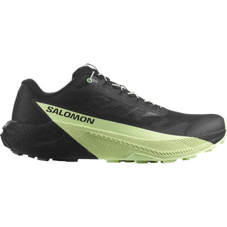 Salomon - Chaussures de trail running pour homme Pulsar - Black / Black - 43⅓