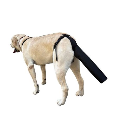 Halebeskytter til hunde, halebeskytter til hunde, halebeskyttelse til sår, sort hundesele med halebeskyttelse, halebeskyttelsesærme til hunde (