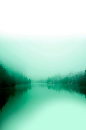 Malerifabrikken - Juliste Green lake - Vihreä - Julisteet - - Homeroom