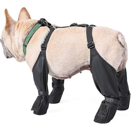 Vinterhundskor Anti-halk, Vattentäta Hundskor Med Extra Rem, Hundskor Med Robust Gummisula, Anti-fall Hund Vandringskängor