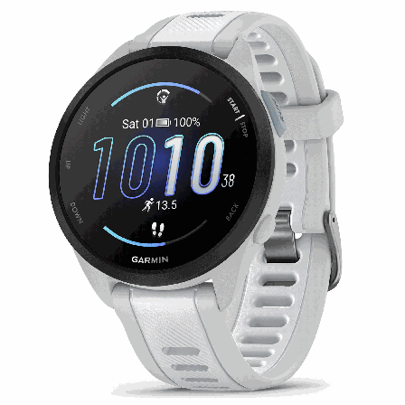 Garmin Forerunner 165 Music Mist Grey/Whitestone