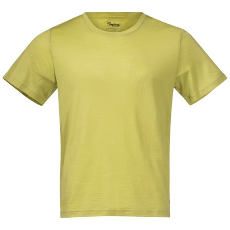 Bergans Oslo Wool Tee Men short-sleeved sweaters Green S