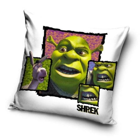 Shrek kuddfodral 40x40 cm i sammet
