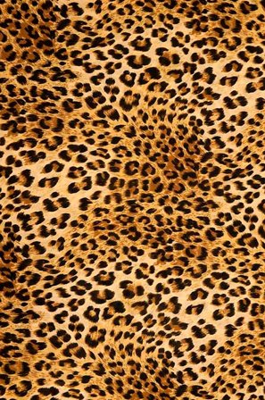 Conceptum Hypnose - Matto (180 x 280) - Ruskea - Sileät matot - 180X280 - - Homeroom