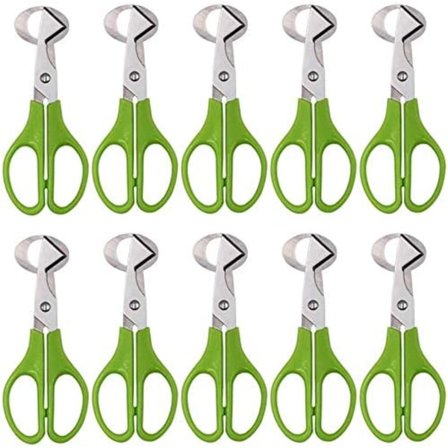 10 kpl viiriäisenmunasakset, ruostumattomasta teräksestä valmistettu munaleikkuri