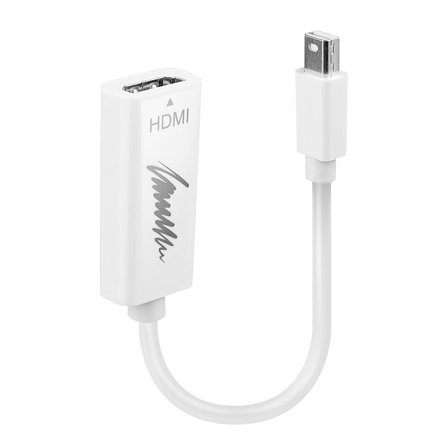 Lindy video adapter - DisplayPort / HDMI