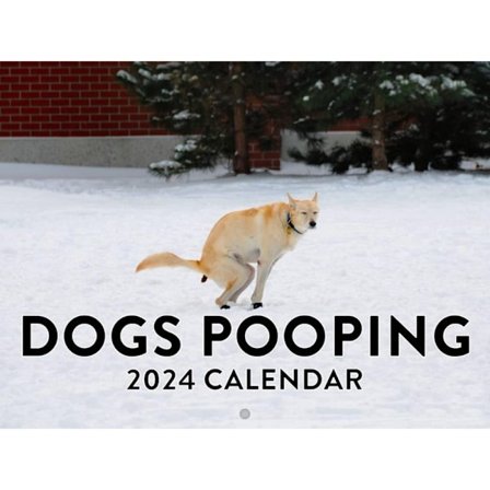 Mordely Rolig kalenderpresent 2024-kalender för hundbajsande kalender