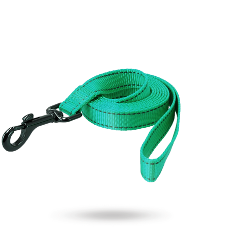 Dogman Nylonkoppel Iris - Turkos - Hundkoppel- För stora hundar