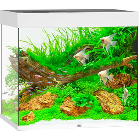 Juwel - Lido LED-akvarium hvit 120 L - Akvaristikk - Akvarium & møbler - Akvarium - ZOO.no