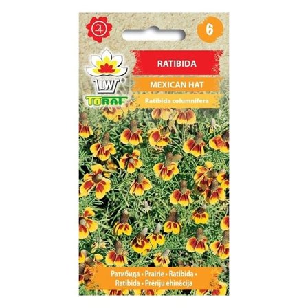 Mexicansk hatfrø - Unik blomstring med langtidsholdbare snitblomster